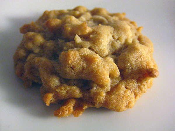 Chewy Coconut Cookie Crisps - That Time of the Month