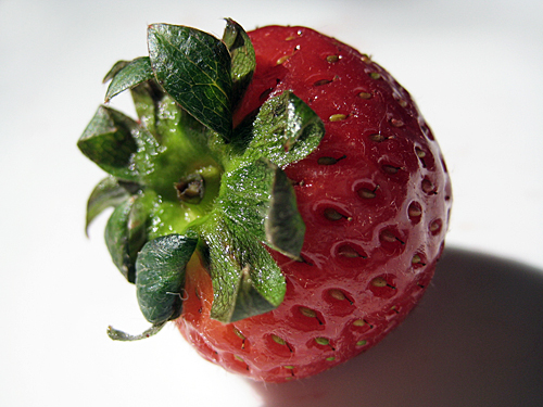 Strawberry Ice Cream Recipe from Cuisinart Binders and Brother