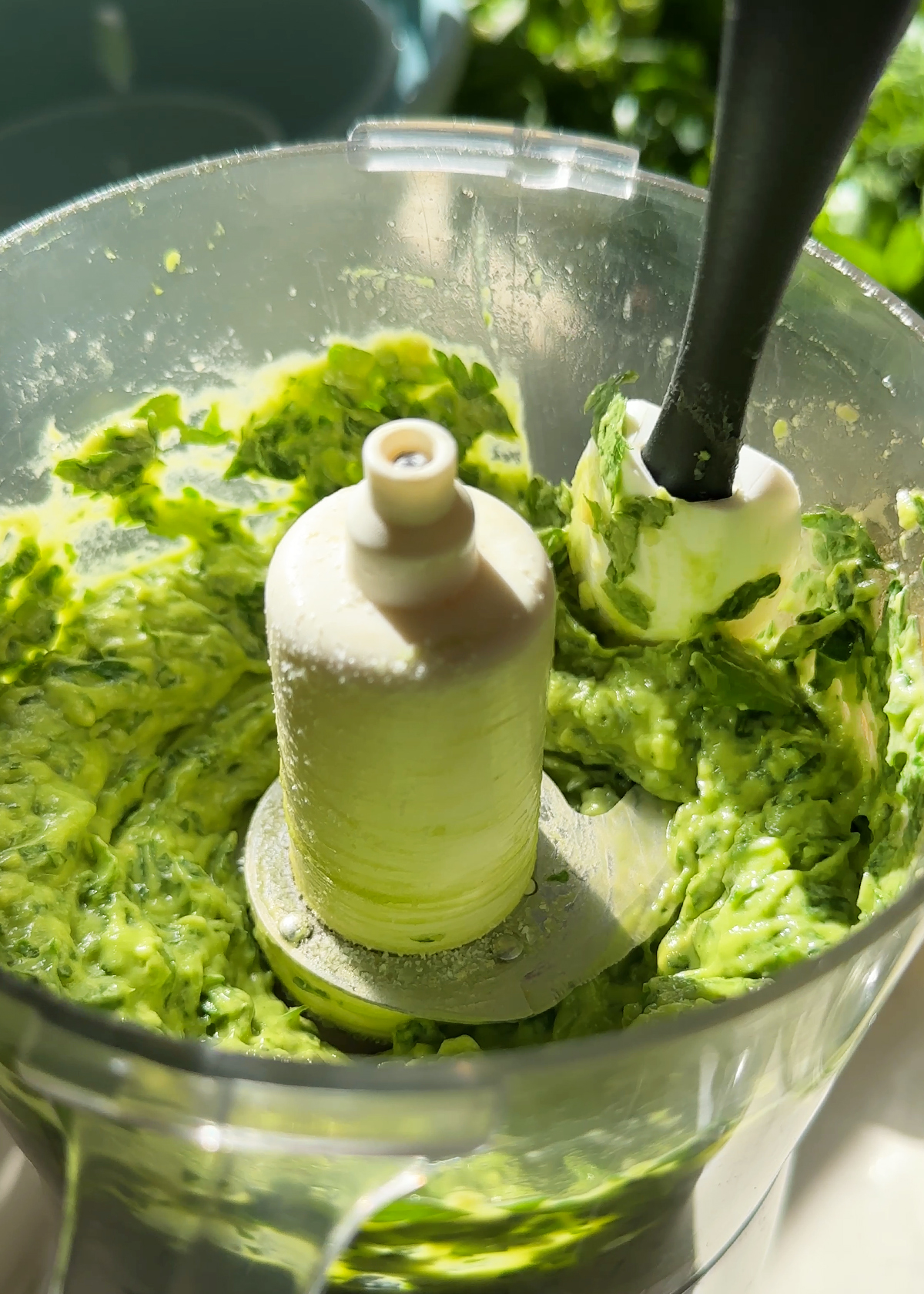 avocado green goddess blended