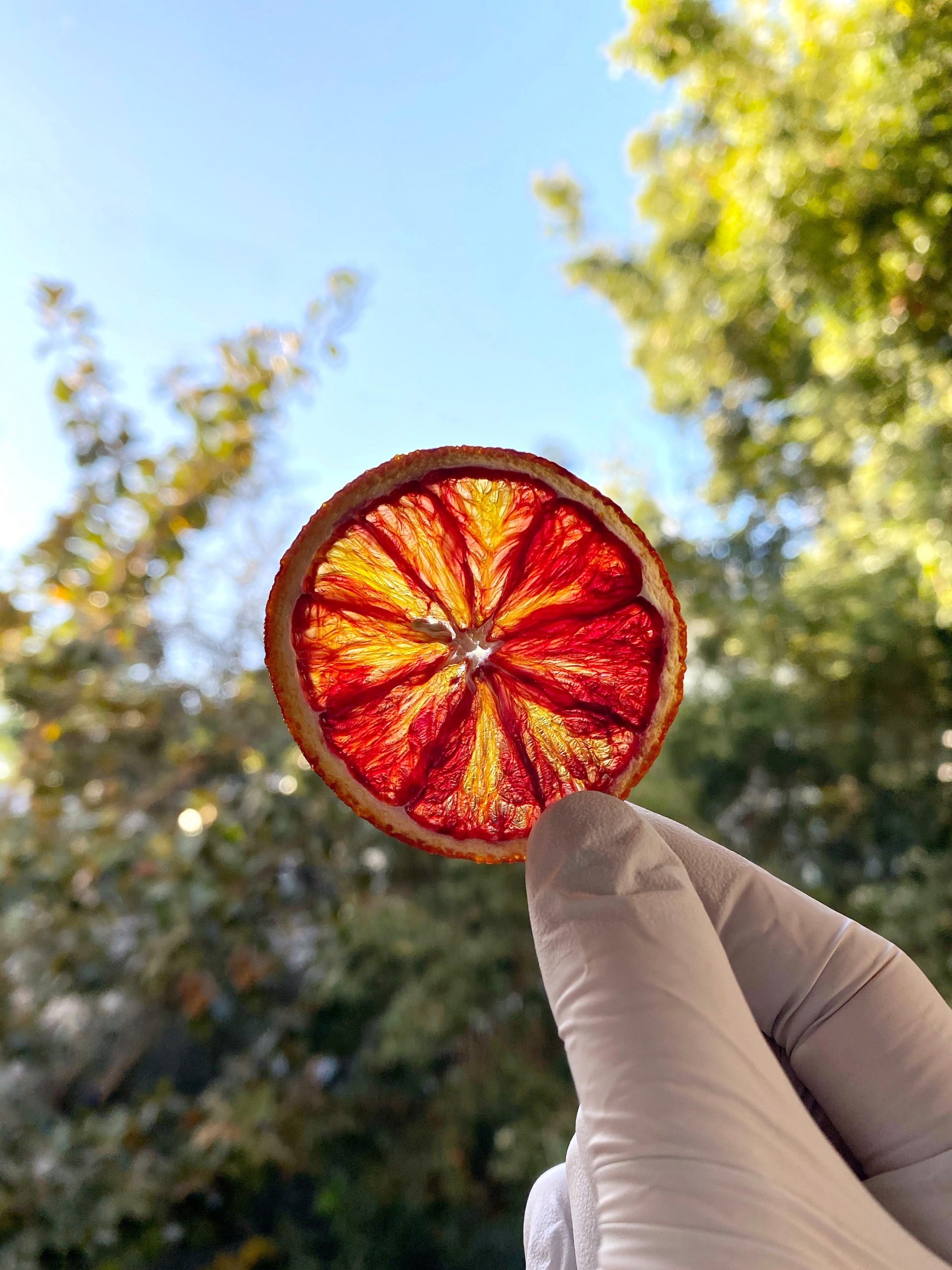 dried orange