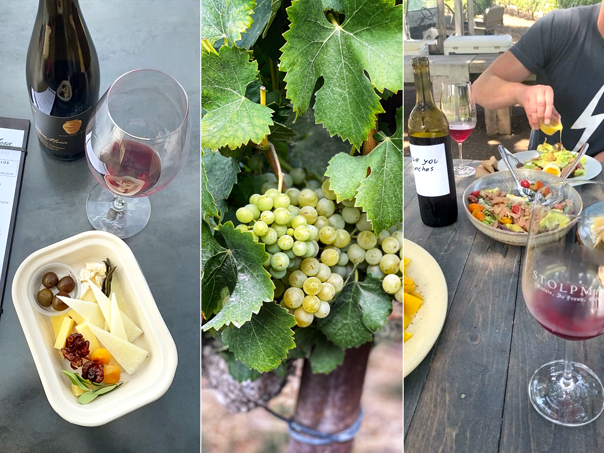 wine tasting with cheese board, grenache blanc wine grapes, outdoor picnic with red wine