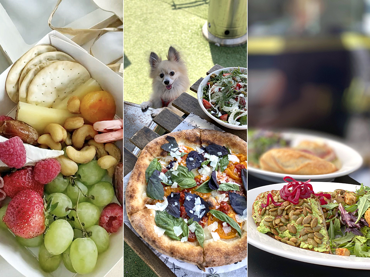 cheesebox, farmers market tomato basil margherita pizza, avocado toast from santa barbara restaurants