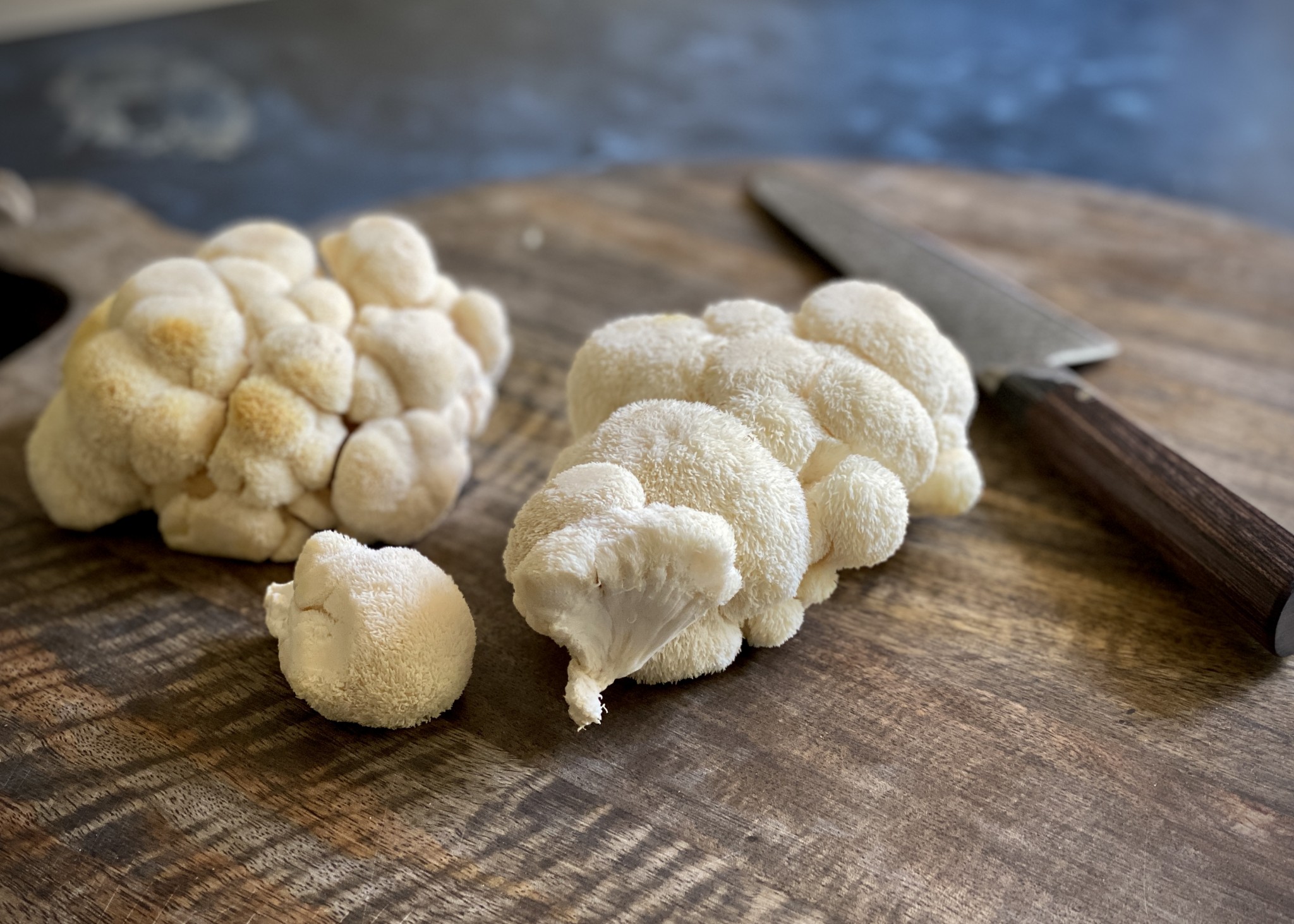 lions mane mushrooms