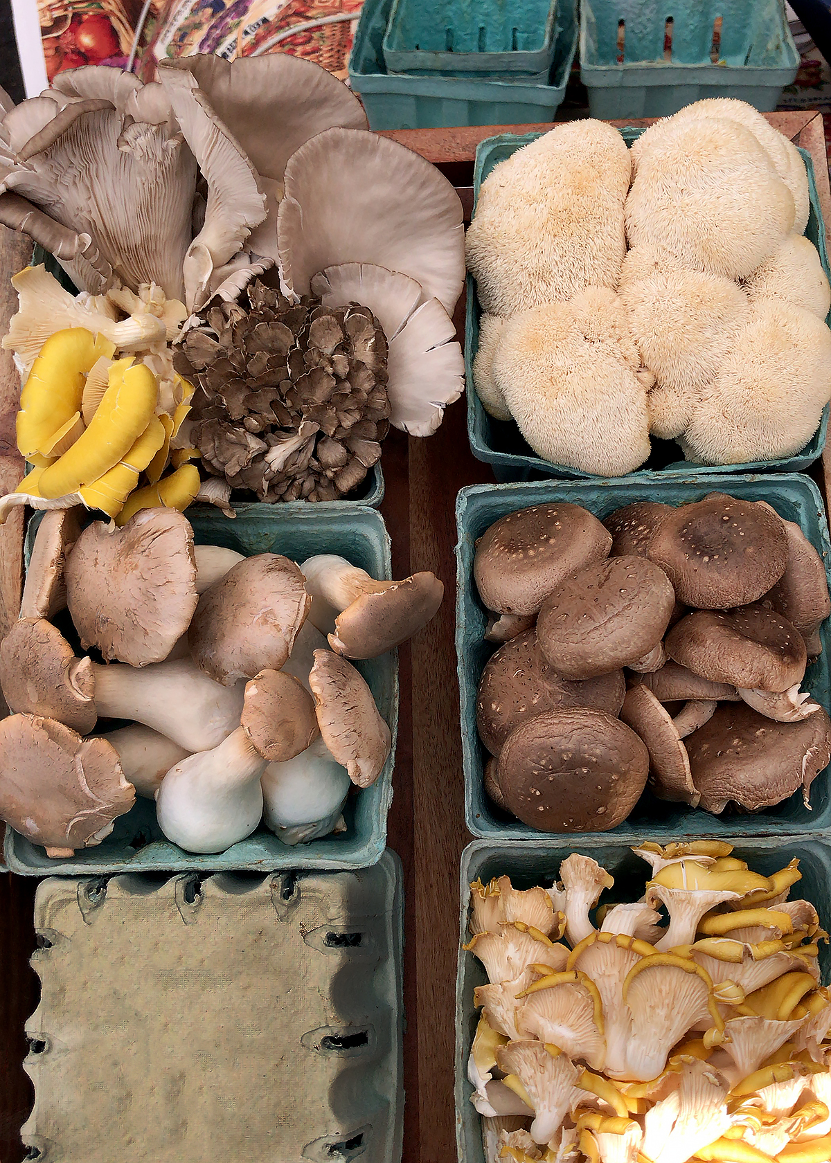 multiple types of mushrooms at farmers market