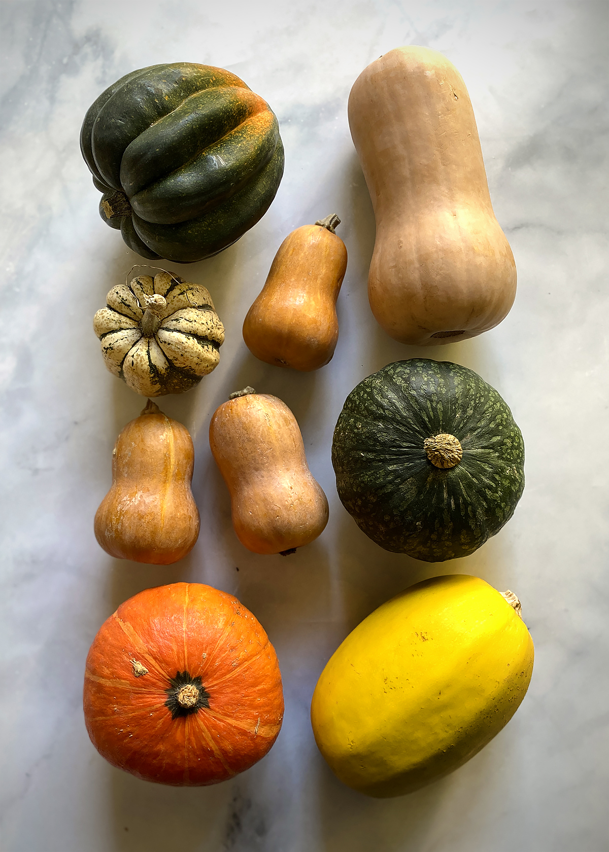 honeynut squash and other squash