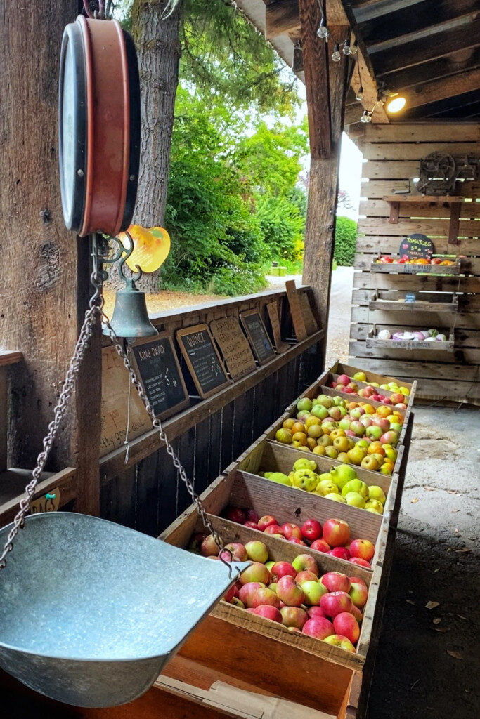 philo apple farm stand, anderson valley