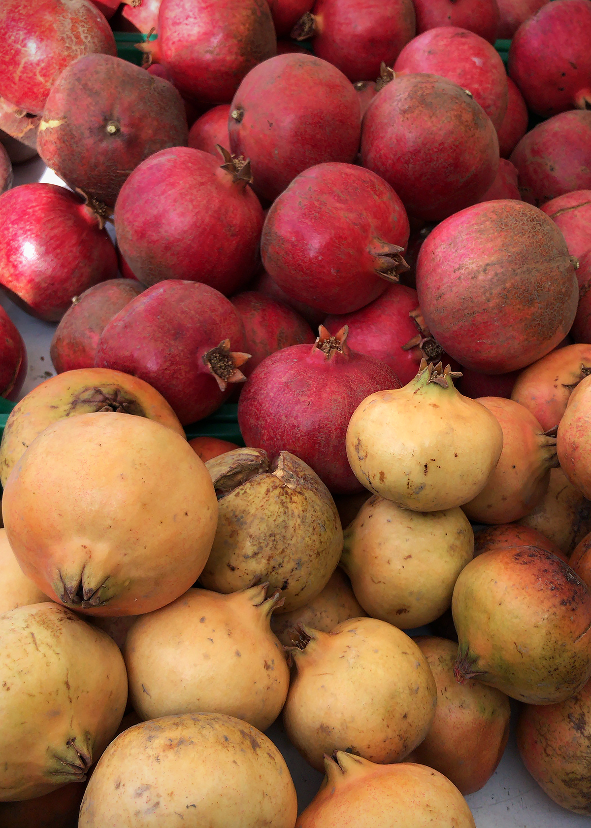 red and white pomegranates at farmers market stand