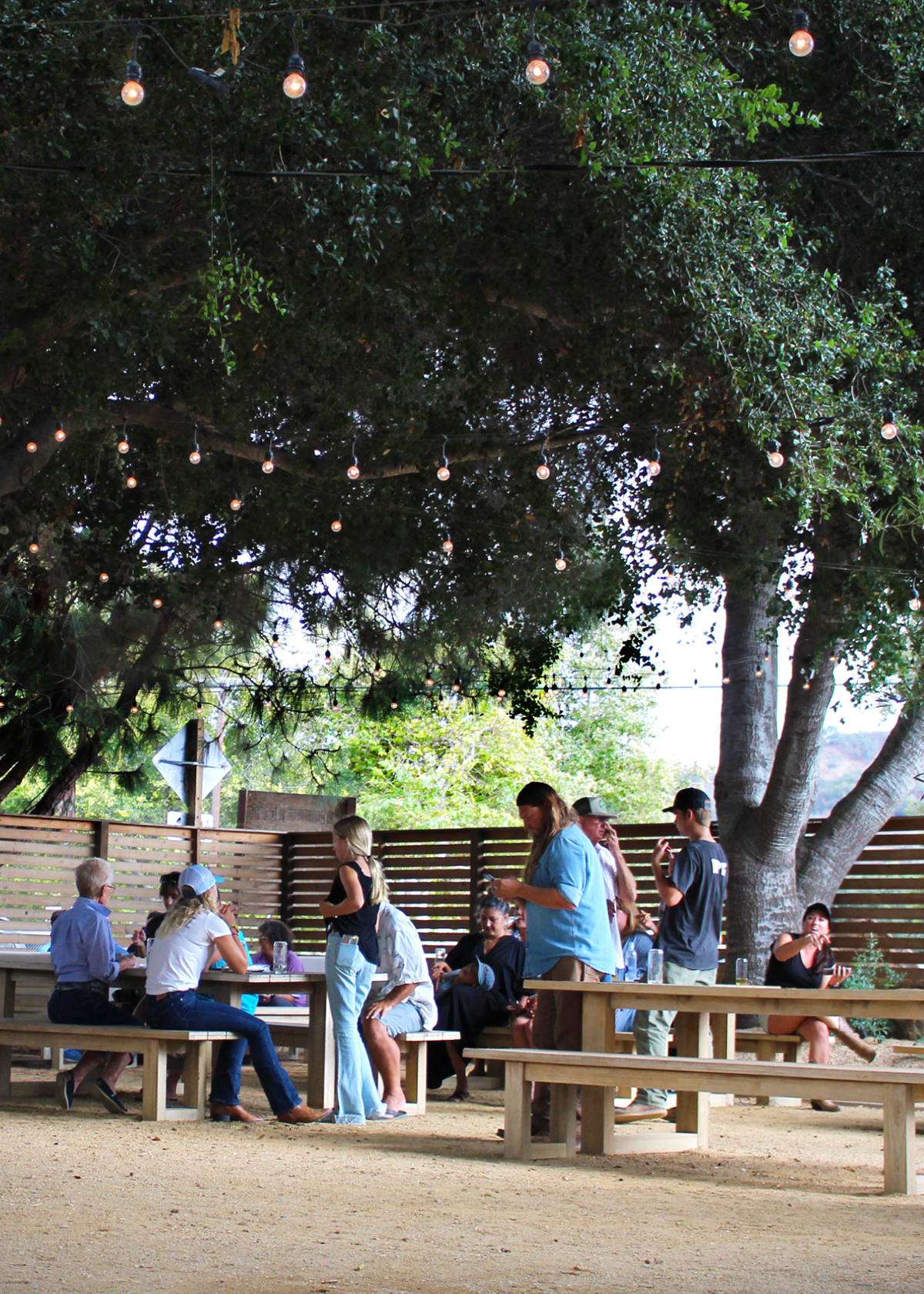 bodega wine bar, santa ynez valley