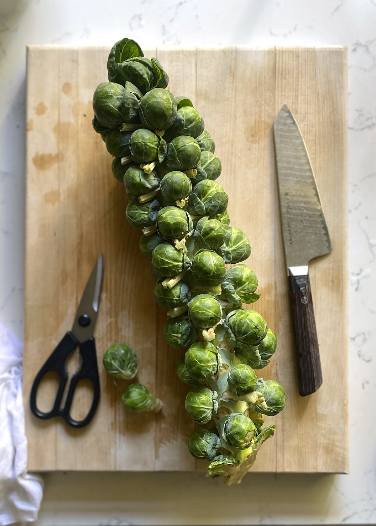 brussels sprouts on stalk