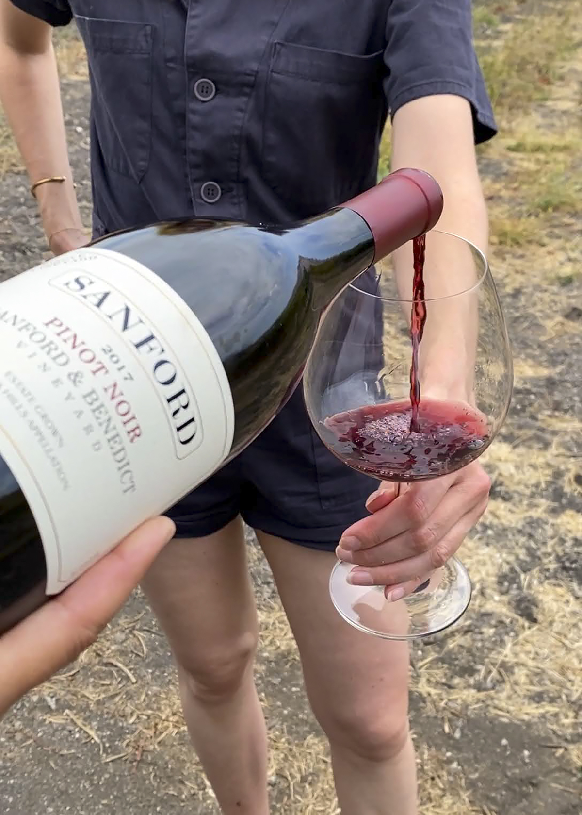 Sanford wine tasting, vineyard tour