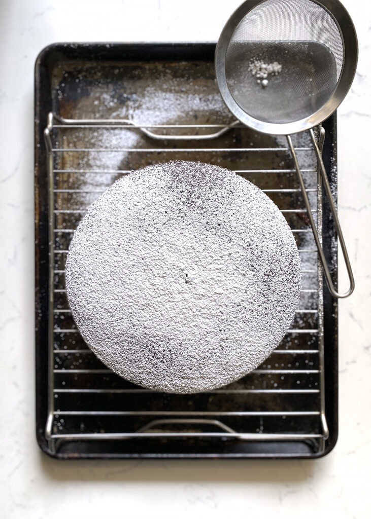 chocolate cake dusted with powdered sugar