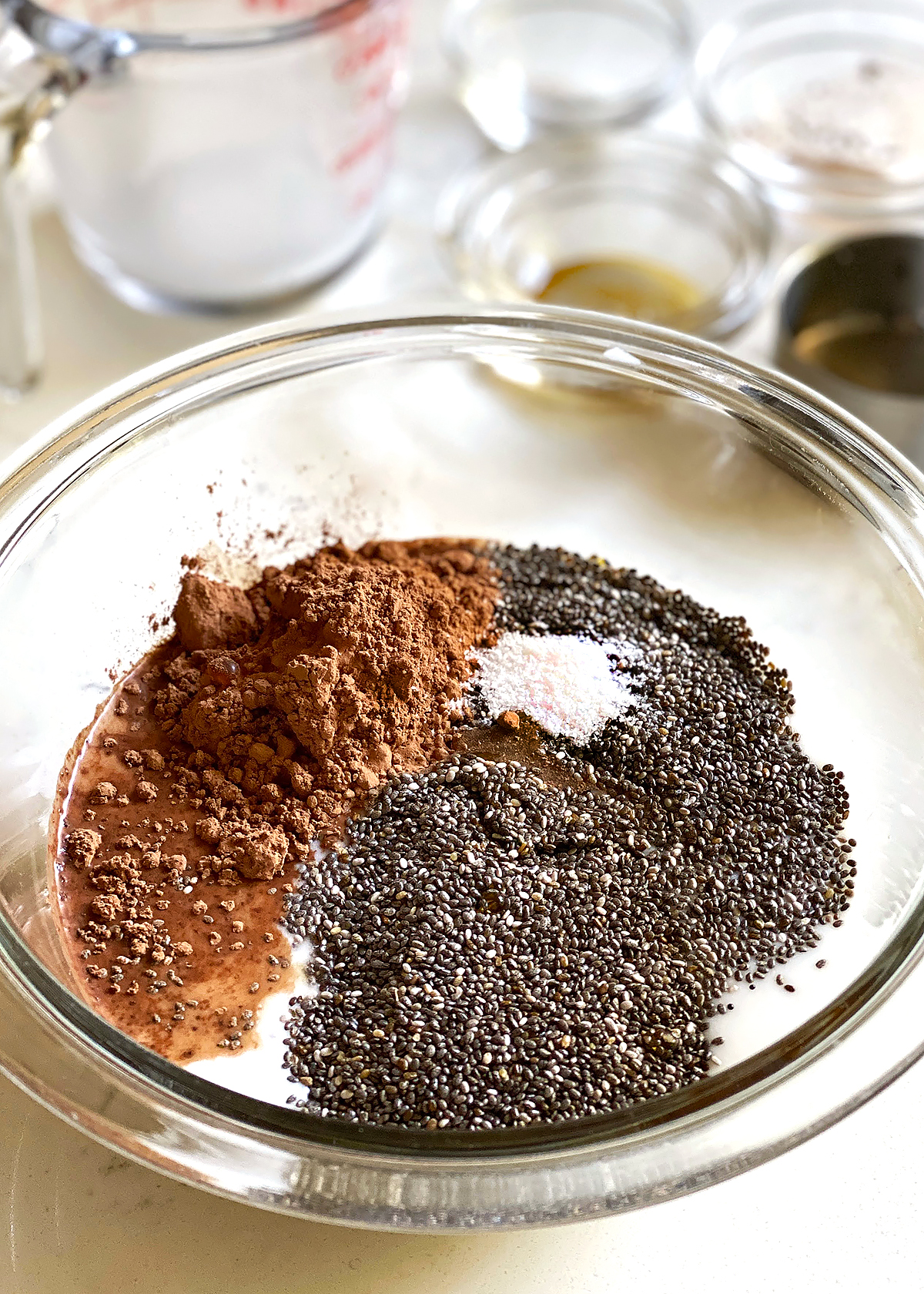 Chocolate Chia Seed Pudding - Earth, Food, and Fire