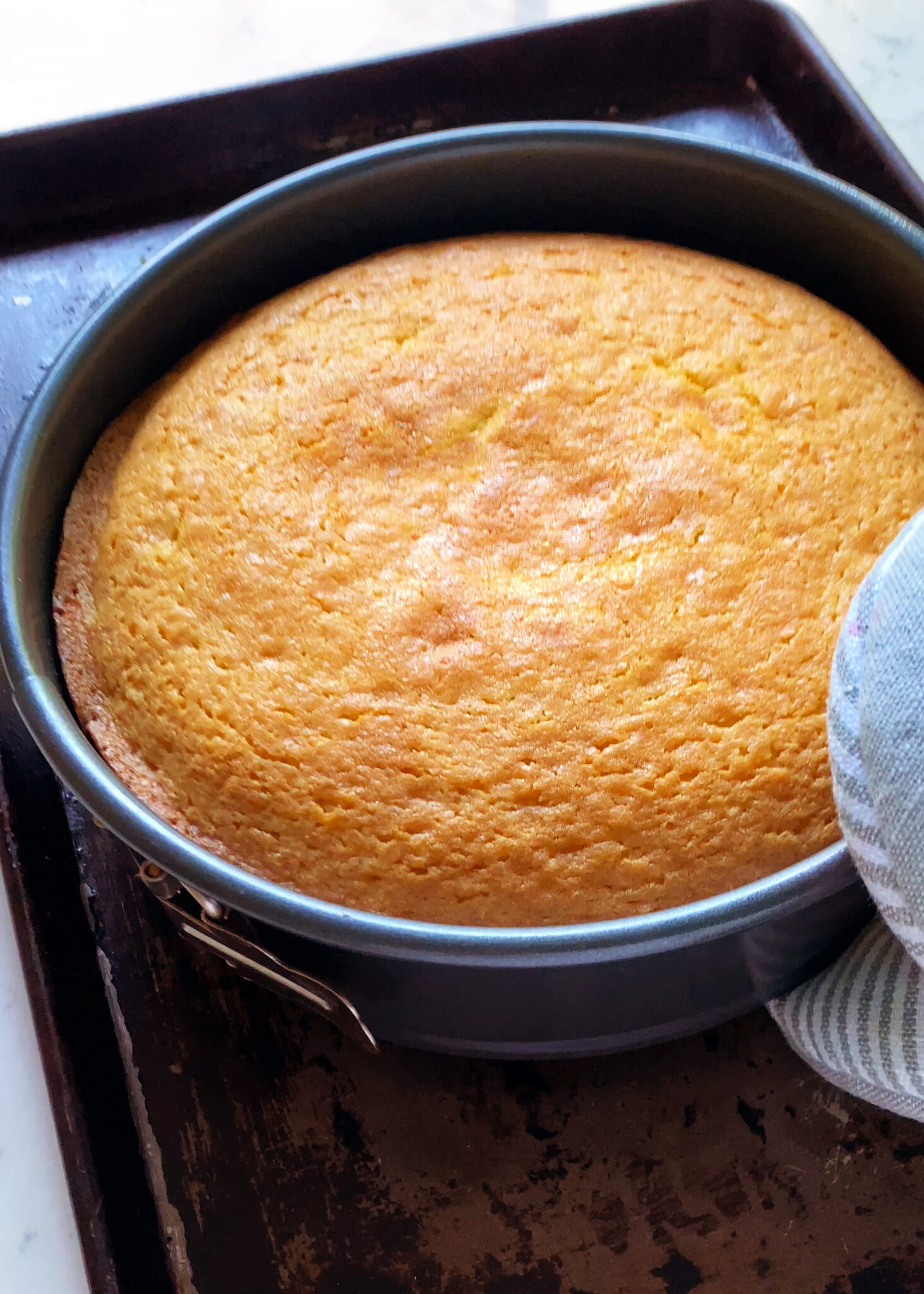 orange olive oil cake, baked in springform pan