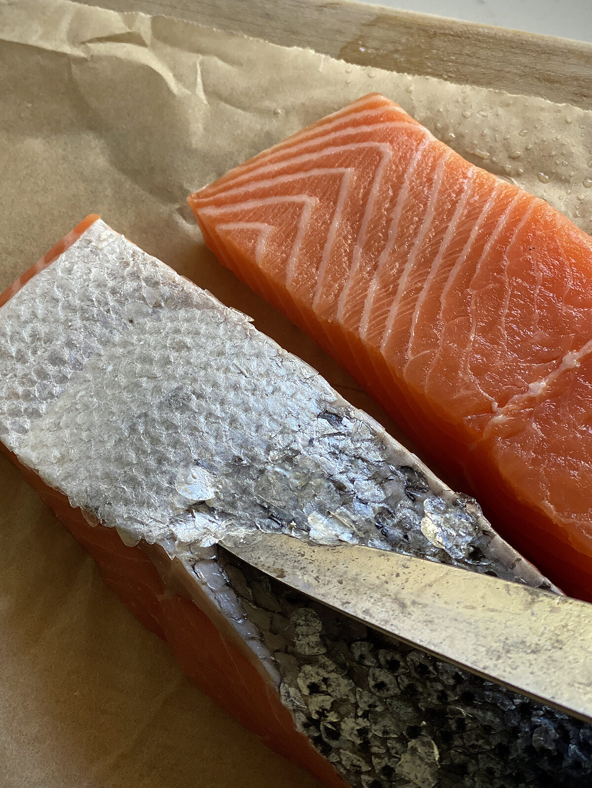 scaling salmon with knife