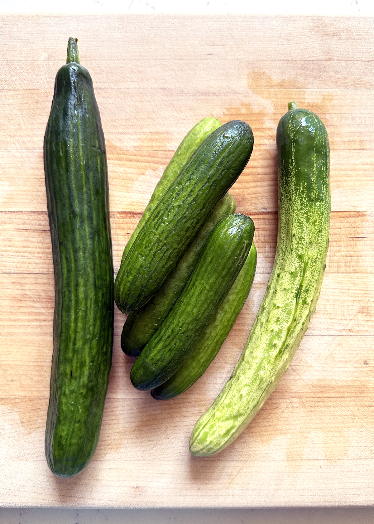 English, Persian, Korean cucumbers for comparison