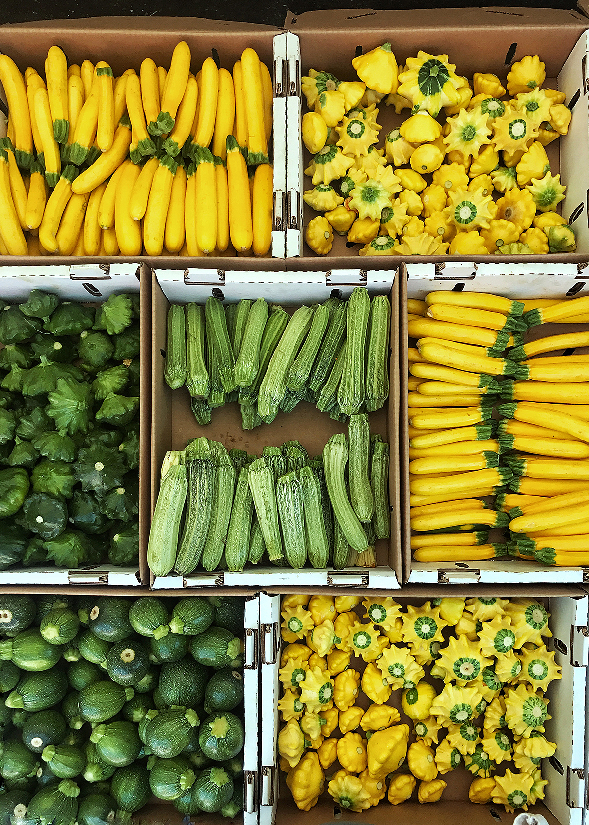 different varieties green and yellow summer squash and zucchini in farmers market boxes
