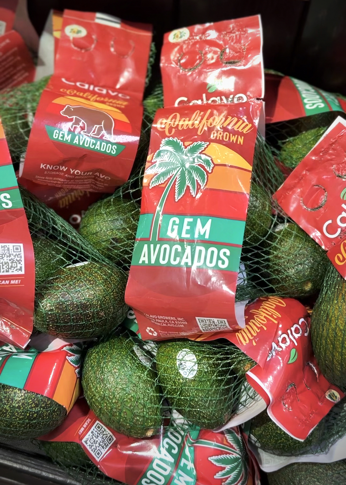 gem avocados bagged, on grocery store shelf