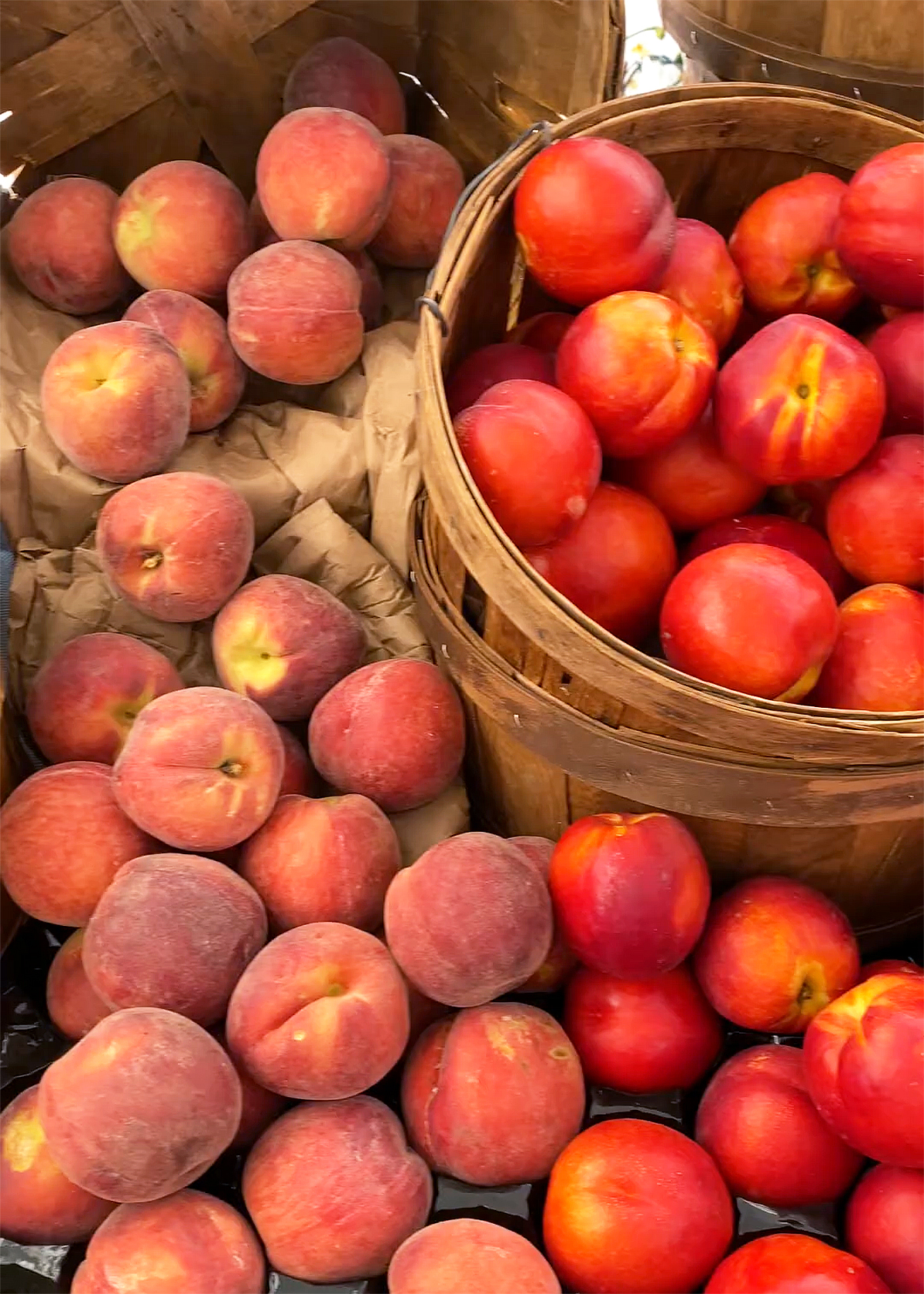 peaches vs nectarines at farmers market