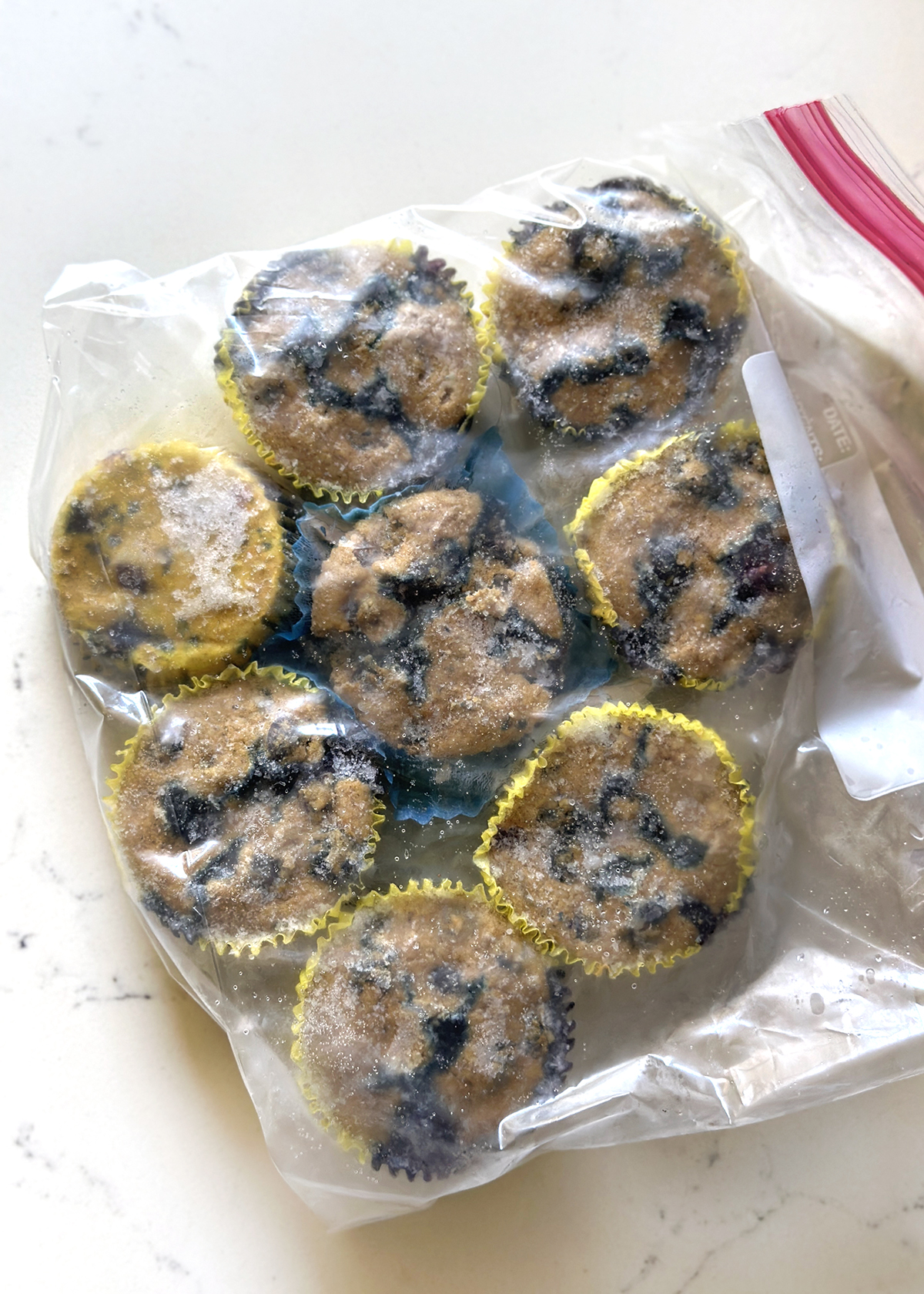 Blueberry Muffin Baked Oatmeal frozen in muffin cups