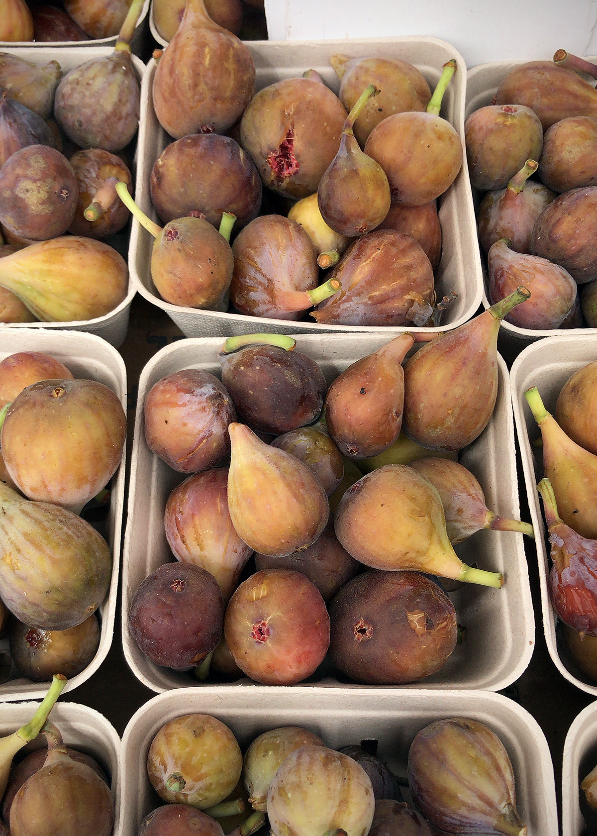 heirloom figs at farmers market