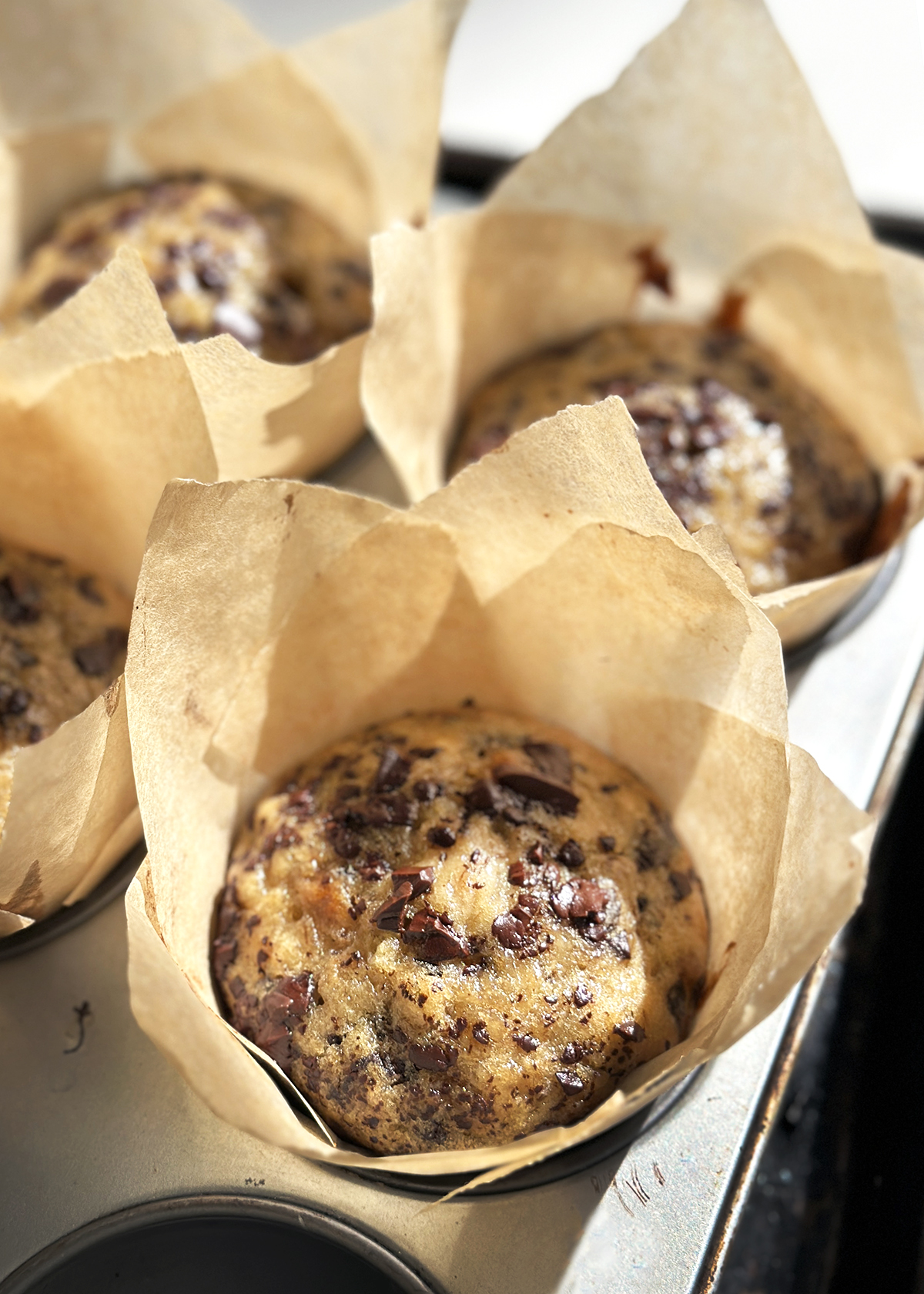 chocolate chip banana bread muffins in paper liner cups