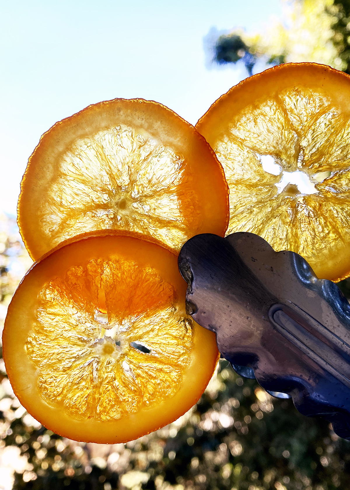 candied oranges see through