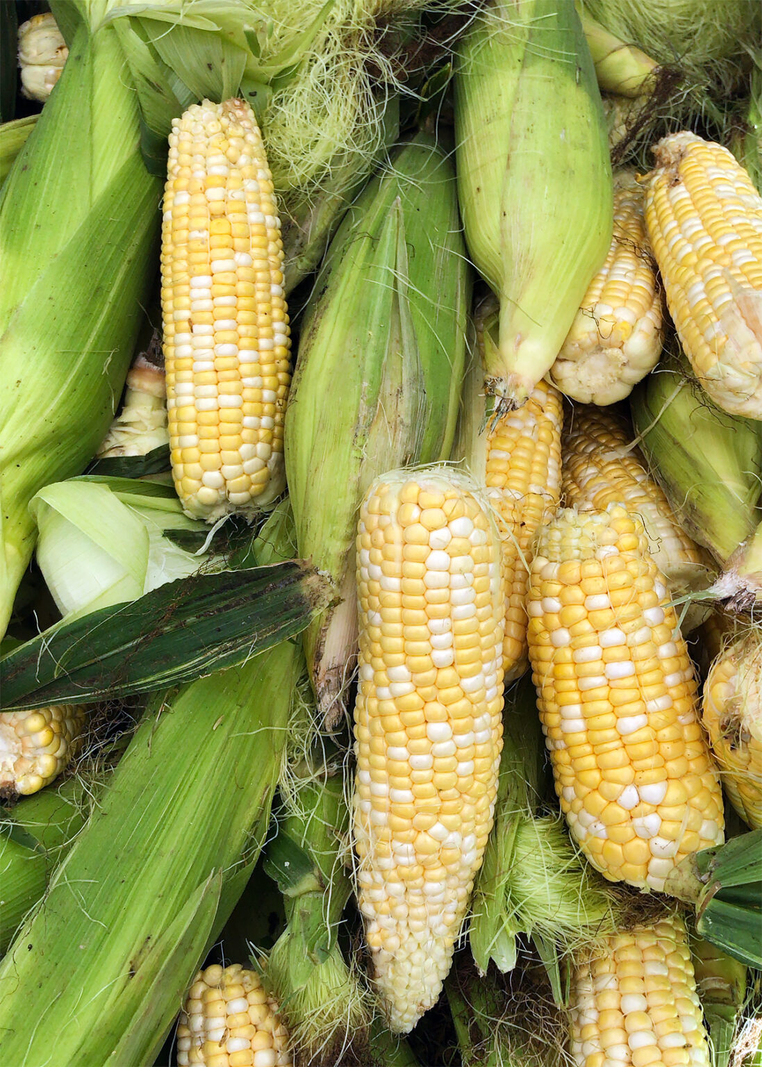 What Fruits and Vegetables are in Season Right Now? August 2026 - The ...