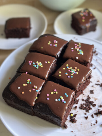 chocolate cake with sprinkles