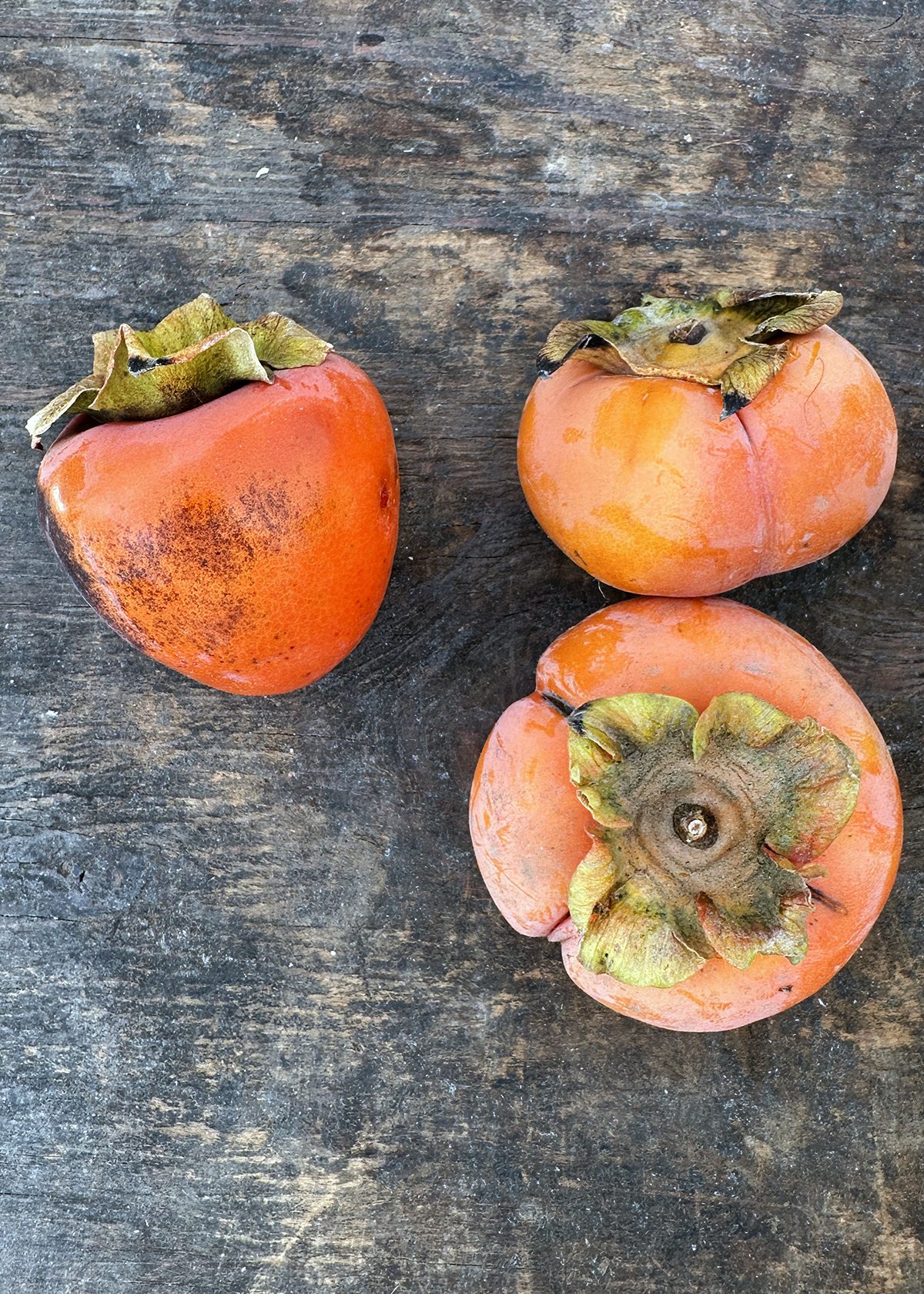 hachiya (soft) vs fuyu (hard) persimmons