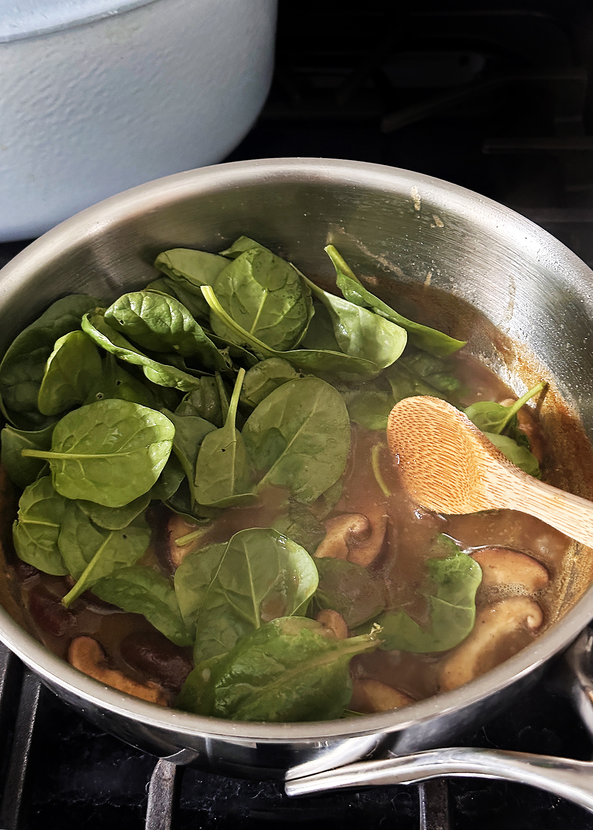 japanese curry with spinach