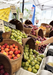 farmers market peaches and plum stand
