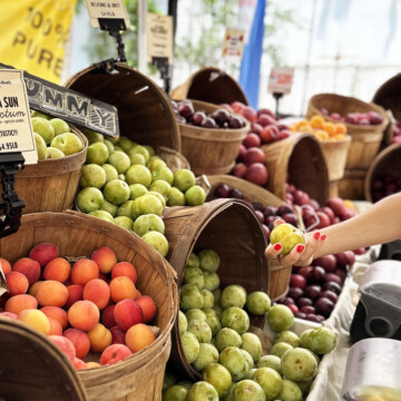 farmers market peaches and plum stand