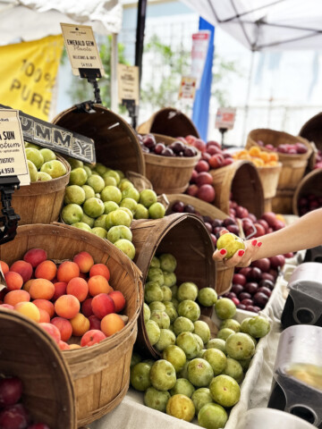 farmers market peaches and plum stand