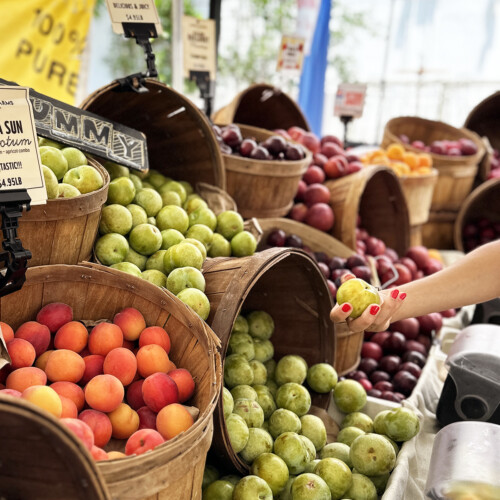 farmers market peaches and plum stand