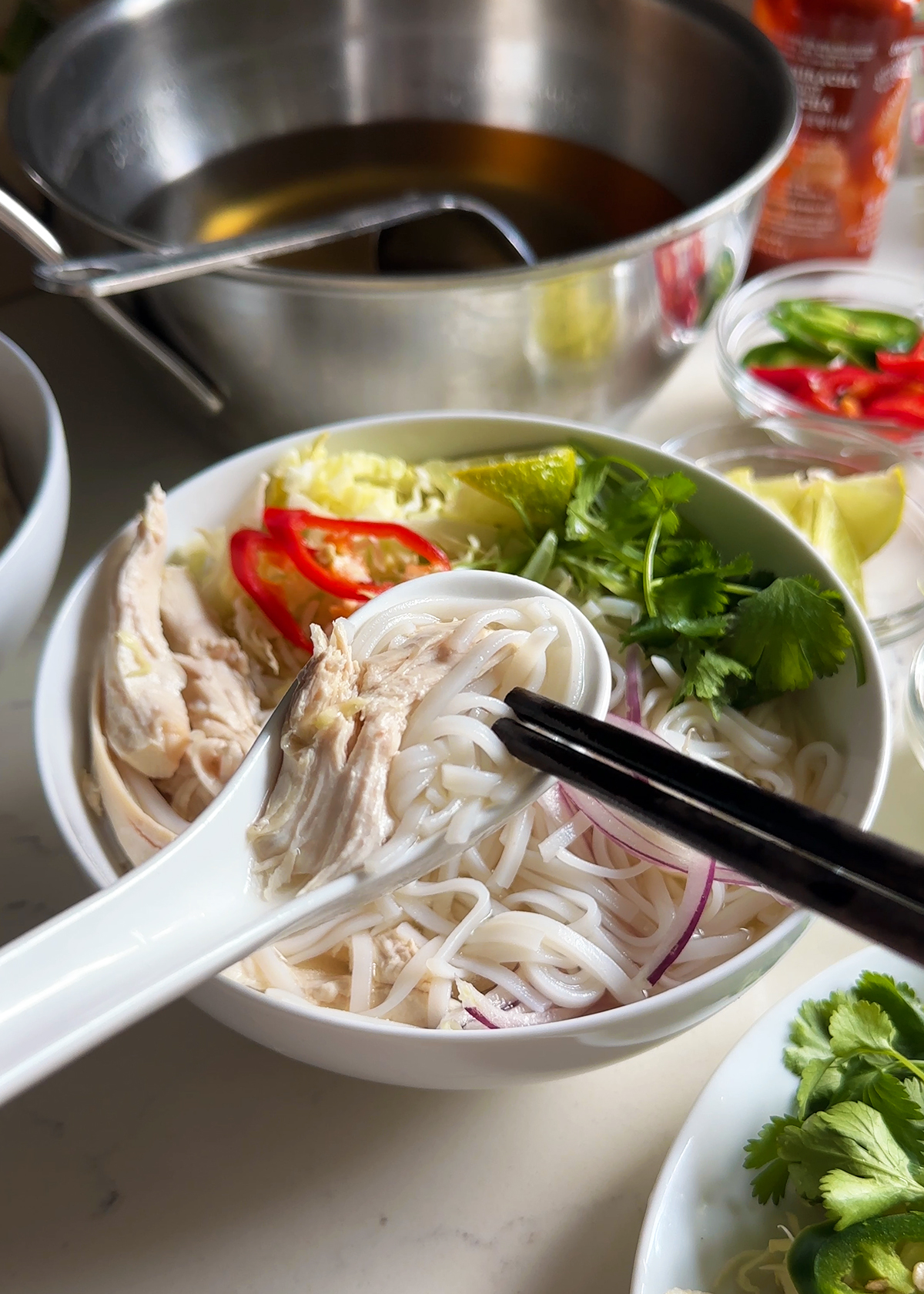 rotisseriechickenpho-spoon