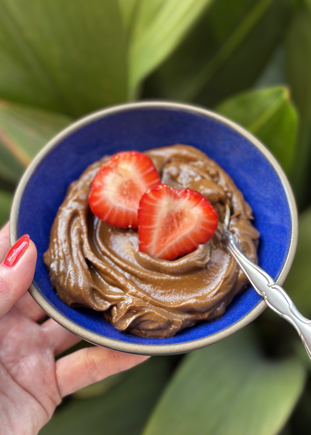 avocado chocolate pudding with strawberries
